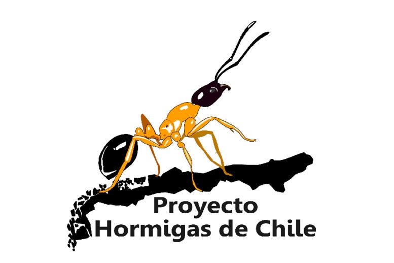 logo-hormigas