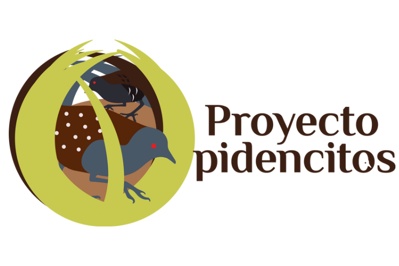 Proyecto Pidencitos