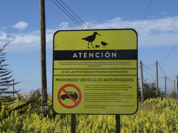 Curepto se une a campaña "Playas Sin Autos"