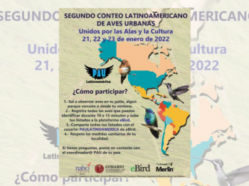 Segundo Conteo Latinoamericano de Aves Urbanas – enero 2022