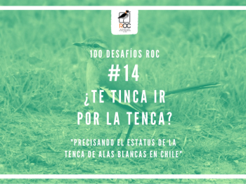 #14 ¿Te tinca ir por la tenca?