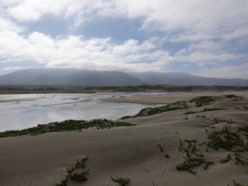 Las Salinas de Huentelauquén son designadas como nuevo sitio de la RHRAP