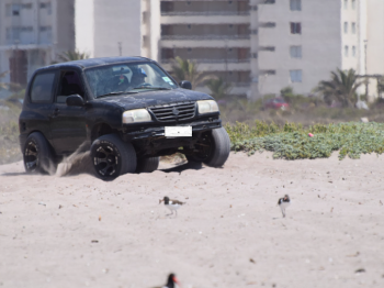 Playas sin Autos