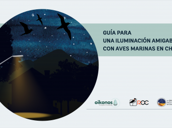 Oikonos, la ROC y la Oficina de Protección de la Calidad del Cielo del Norte de Chile (OPCC) lanzan “Guía para una Iluminación Amigable con Aves Marinas en Chile”