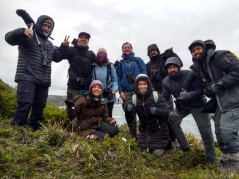 En busca de la fardela chica en la Región de Los Lagos