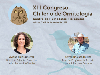 Talleres sobre uso de datos de eBird en el XIII Congreso Chileno de Ornitología