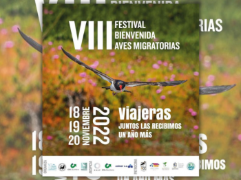 Festival "Bienvenida aves migratorias" en Humedal de Mantagua