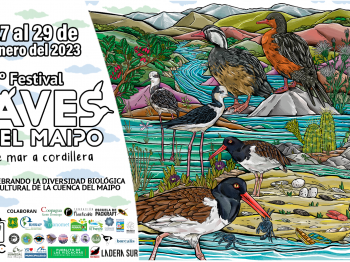 ¡El segundo Festival de Aves del Maipo emprende el vuelo!