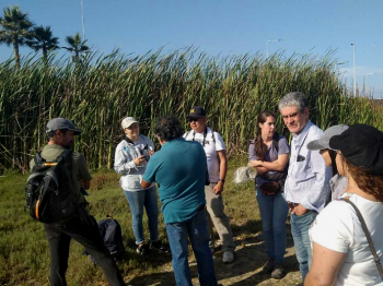 Especialistas internacionales visitan el FAM y la Región de Coquimbo junto a la ROC para conocer y fortalecer colaboraciones locales