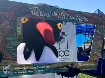 Celebramos el Festival de Aves del Maipo junto a cientos de personas