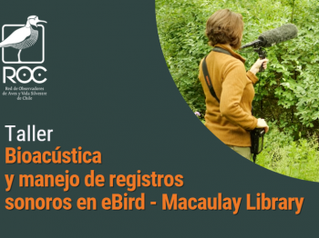 Talleres de Bioacústica ROC – Cornell Lab of Ornithology