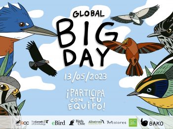 Resultados Global Big Day Chile 2023