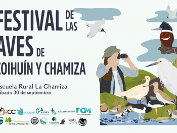 ¡Festival de las aves de Coihuín y Chamiza!