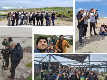 Distintas actividades marcaron la celebración del Día de las Aves Playeras en Chile