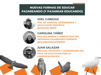 Charlas ROC: : “Nuevas formas de educar pajareando (y pajarear educando)”