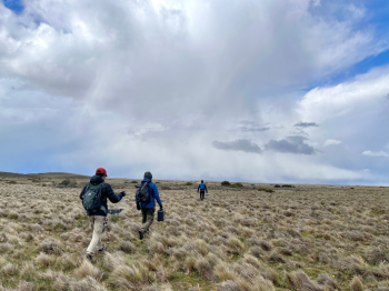 Exitoso monitoreo de aves playeras en Santuario de la Naturaleza Bahía Lomas, Región de Magallanes