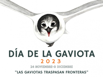 Día de la Gaviota 2023: "Las gaviotas traspasan fronteras"