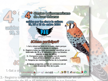 4to Conteo Latinoamericano de Aves Urbanas