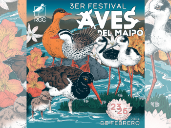 3er Festival de Aves del Maipo ¡Conoce el programa!