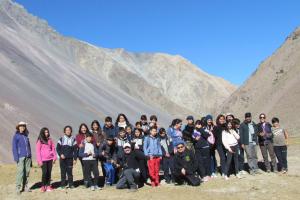 Actividad Chorlito cordillerano