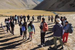 Actividad Chorlito cordillerano